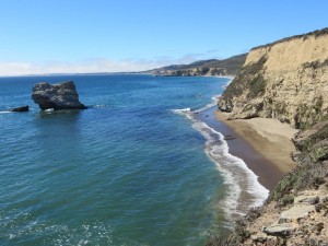things to do in point reyes