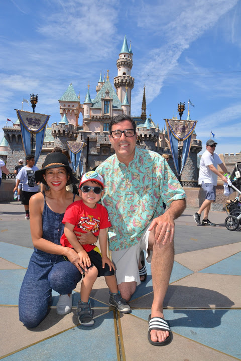 How to Maximize Your Time and Money at Disneyland: disneyland castle